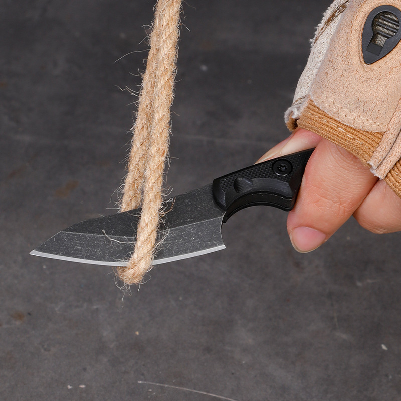 5CR15 Stainless Steel Small Fi - đánh giá và giá Edc Carry Pocket Knife