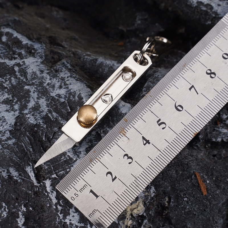 Stainless Steel Mini Knife EDC - đánh giá và giá Edc Carry Pocket Knife